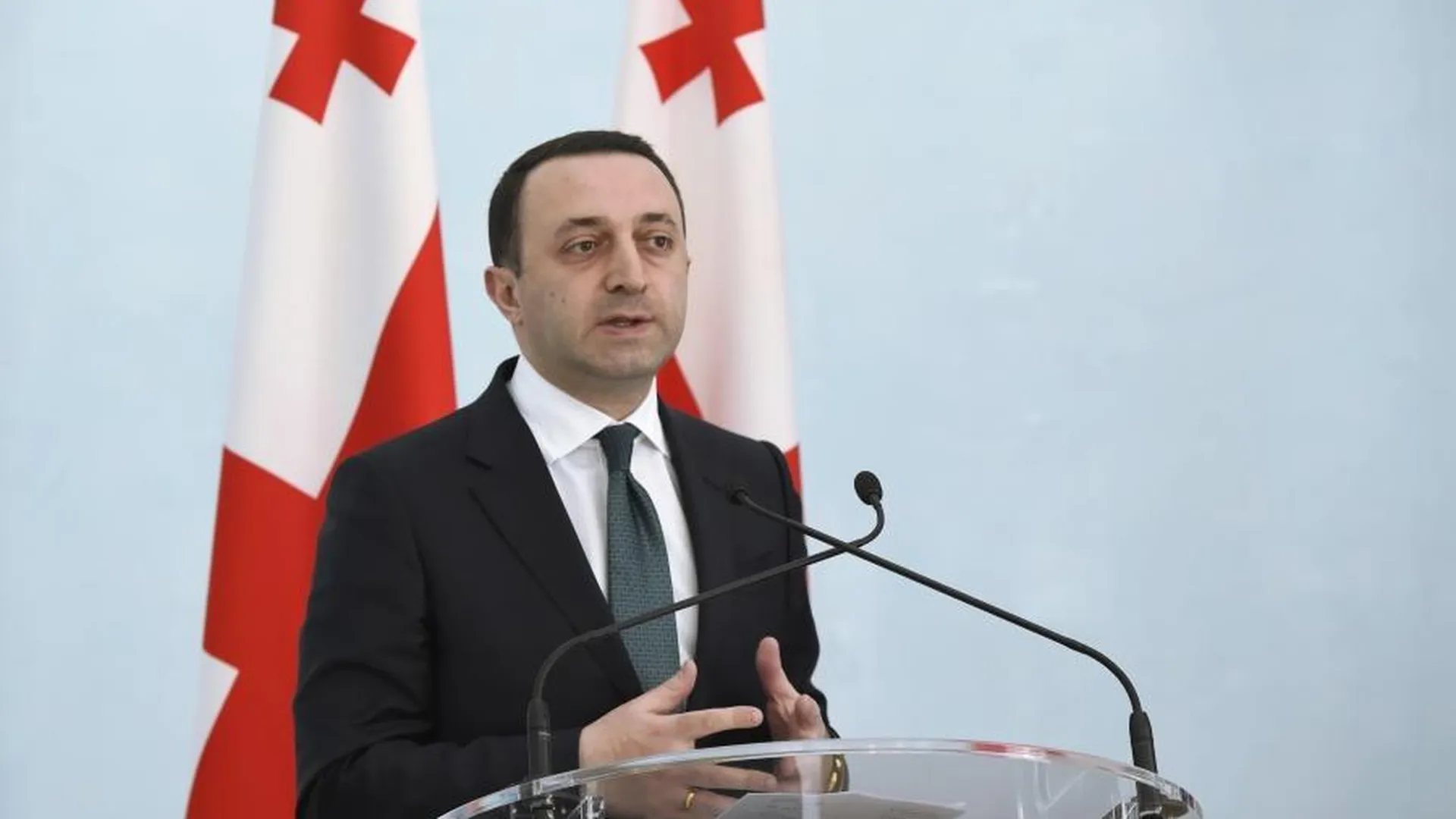 Премьер Грузии Гарибашвили одобрил начало импичмента президента страны