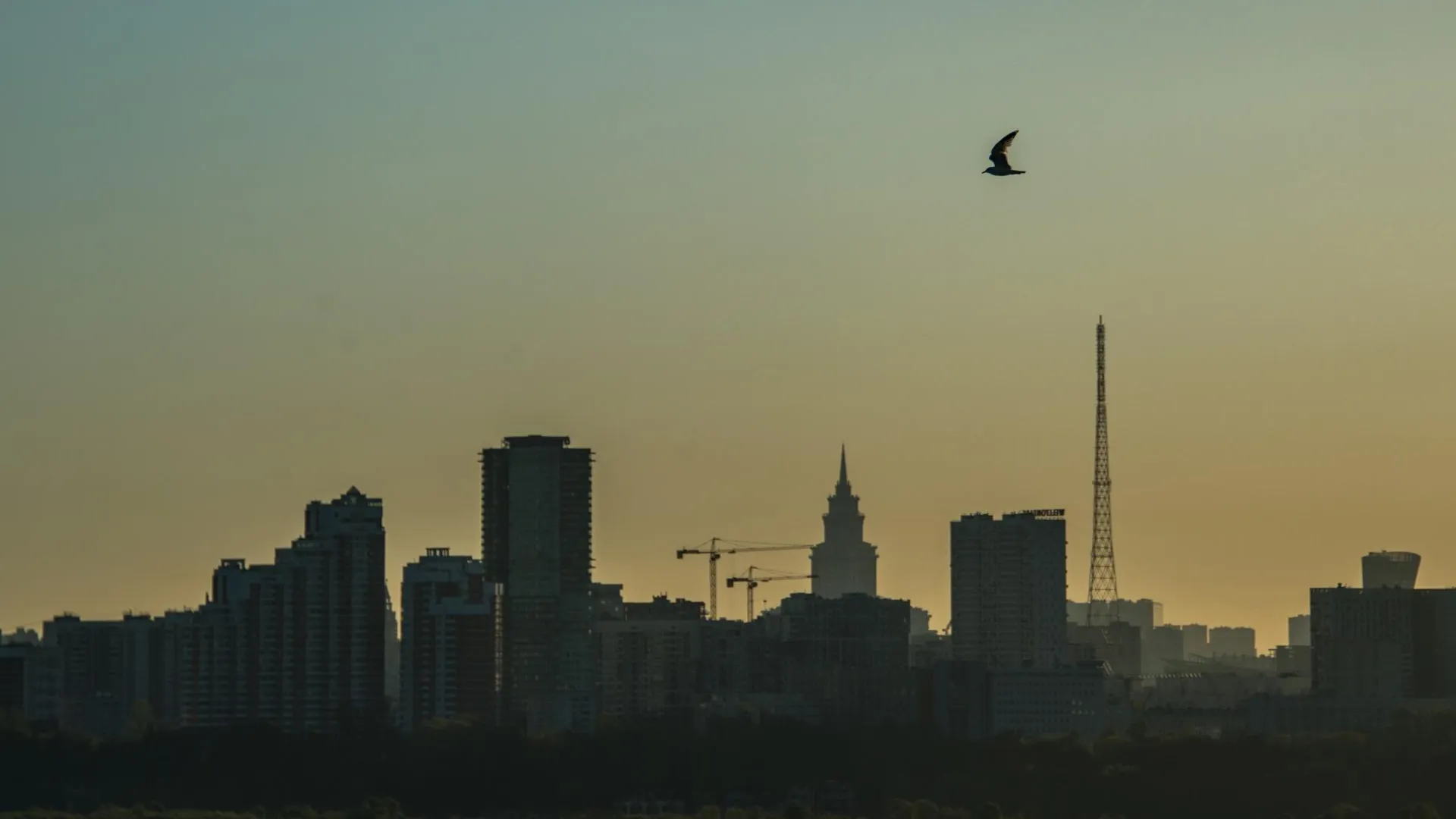 Самый «научный» район столицы: как устроена жизнь в Щукине