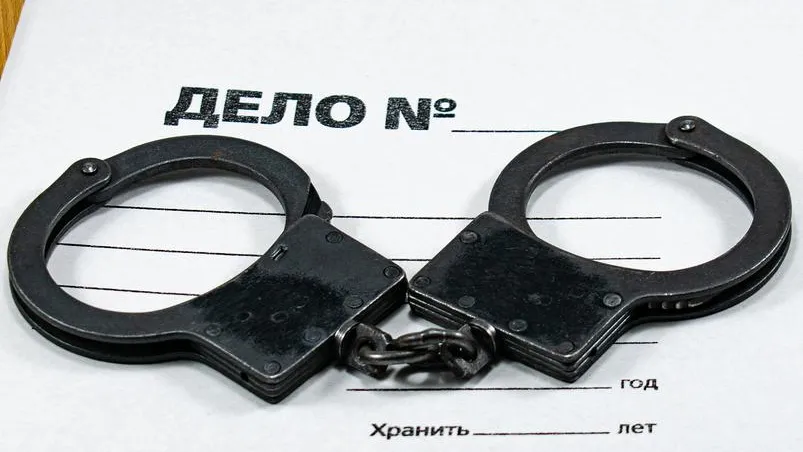 На мигранта, который пытался изнасиловать жительницу Домодедова, завели дело