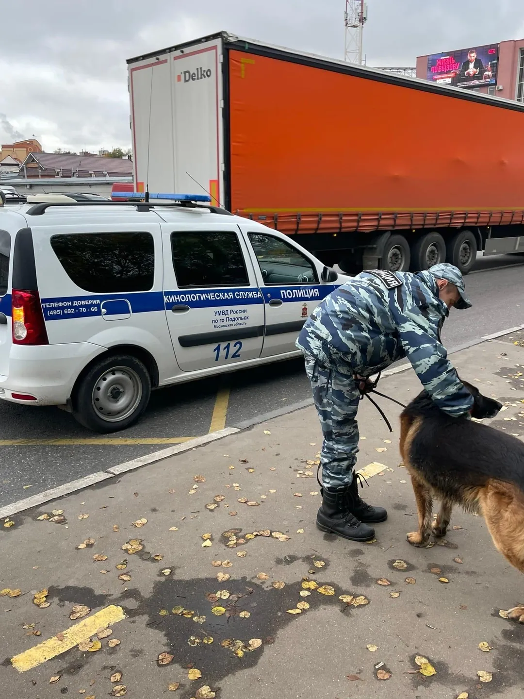 В Подольске кинологи забрали овчарку, которая пришла за хозяином в военкомат  | РИАМО