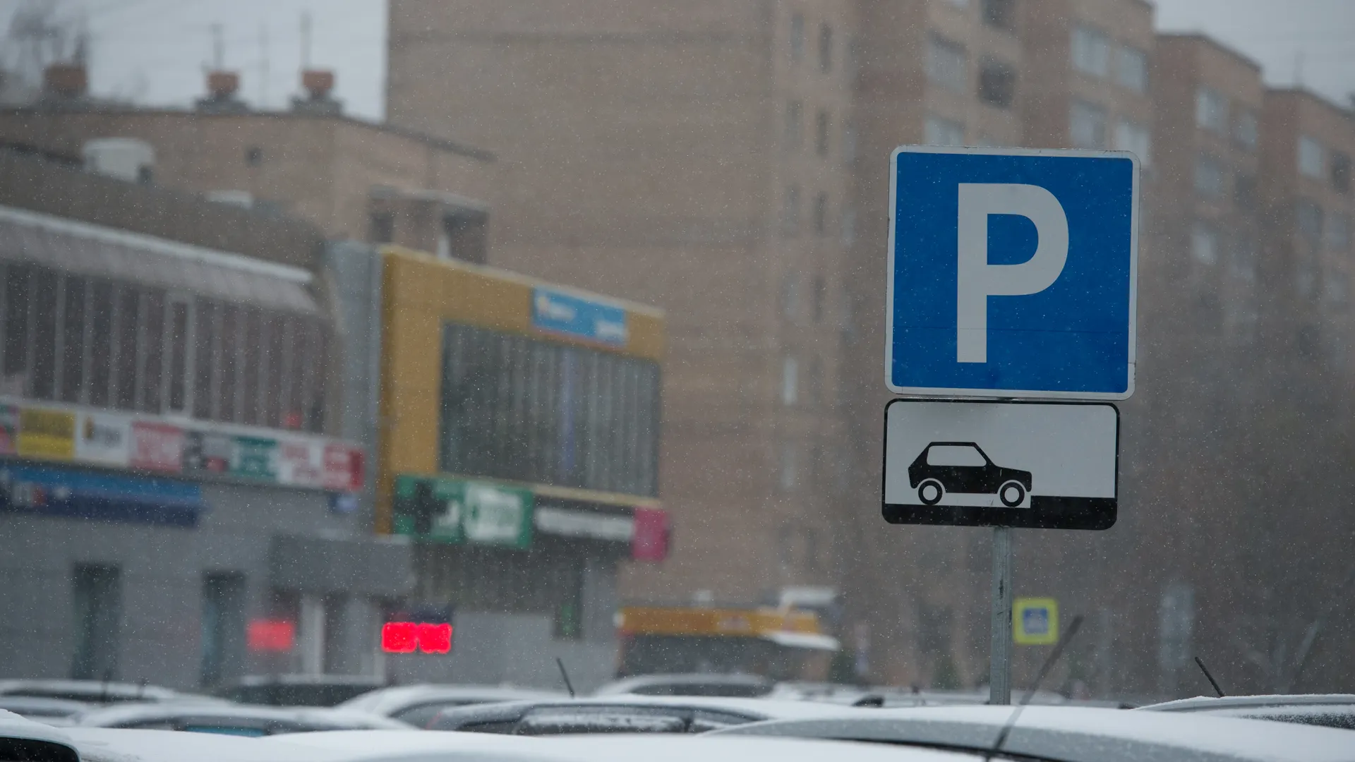Закон о бесплатной парковке для ряда граждан приняли в Подмосковье