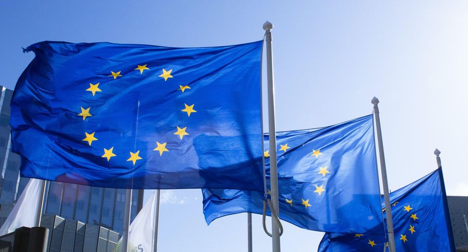 Эксперт Шнейдерман: чиновникам ЕС придется отвечать перед собственными инвесторами
