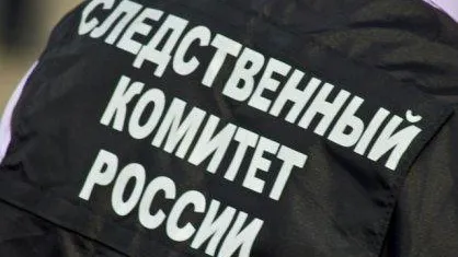 СК ходатайствует об аресте москвички, задавившей женщину и ребенка