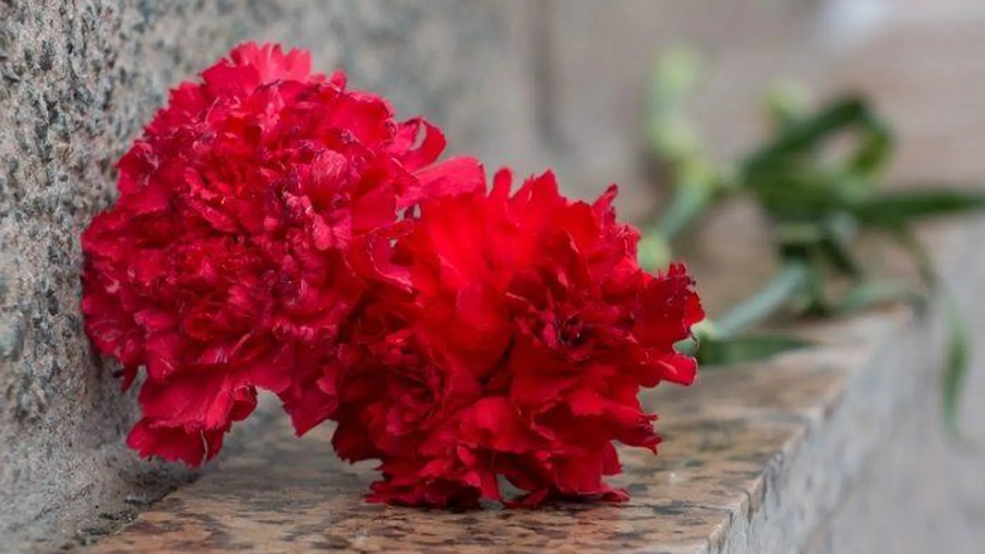 Блокадники возложили цветы у мемориала в Мытищах в связи с памятной датой