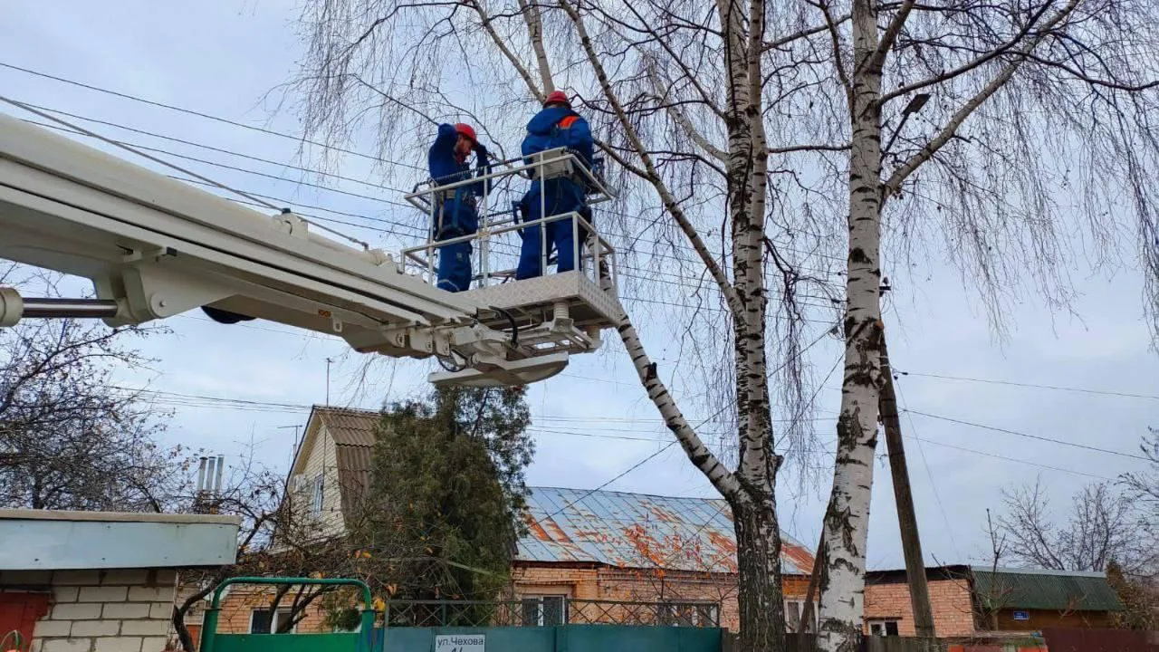 Энергетики расчистили более 300 га охранных зон ЛЭП в Подмосковье с начала года