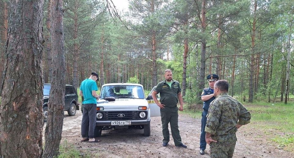 50 нарушений противопожарного законодательства выявлено в лесах Подмосковья с 7 по 9 июня