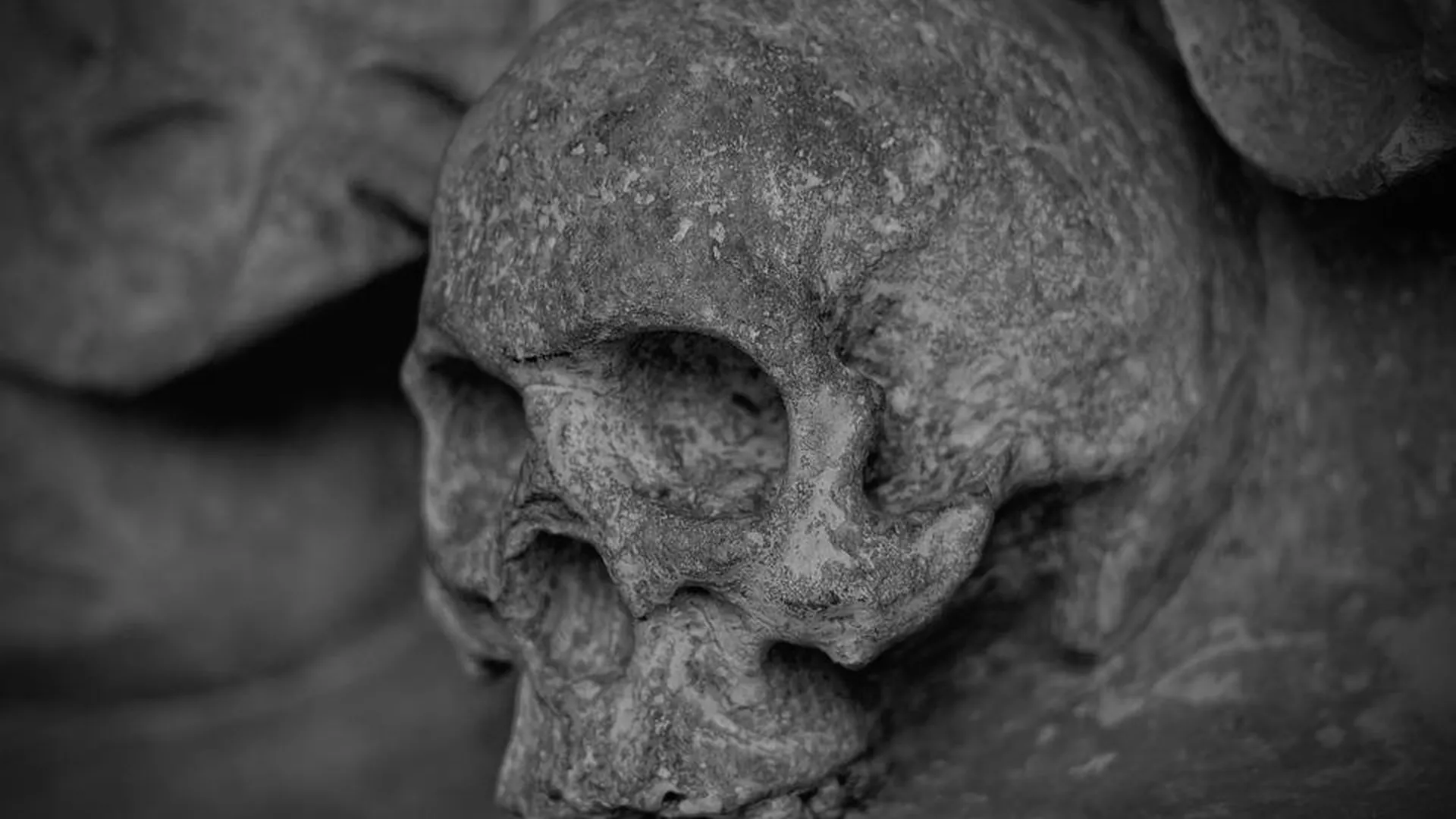 Скелет человека нашли на улице Маршала Жукова в Москве