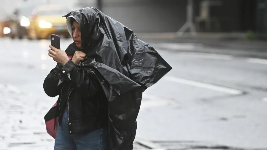 Количество пострадавших от урагана в Москве увеличилось до 28 человек
