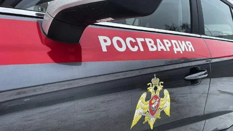 Подмосковные росгвардейцы выезжали 2 200 раз по сигналу «Тревога» за неделю