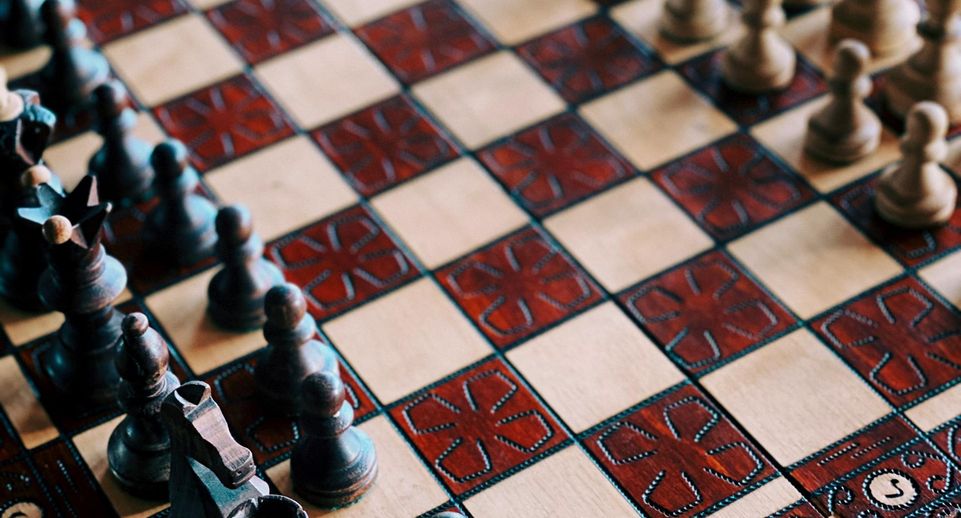 Озвучена программа Дня шахмат на Дворцовой площади в Петербурге
