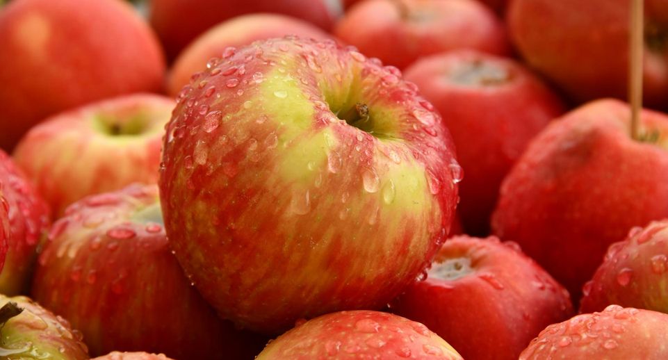 Россельхознадзор: импорт яблок в РФ увеличился в июне почти в 2 раза