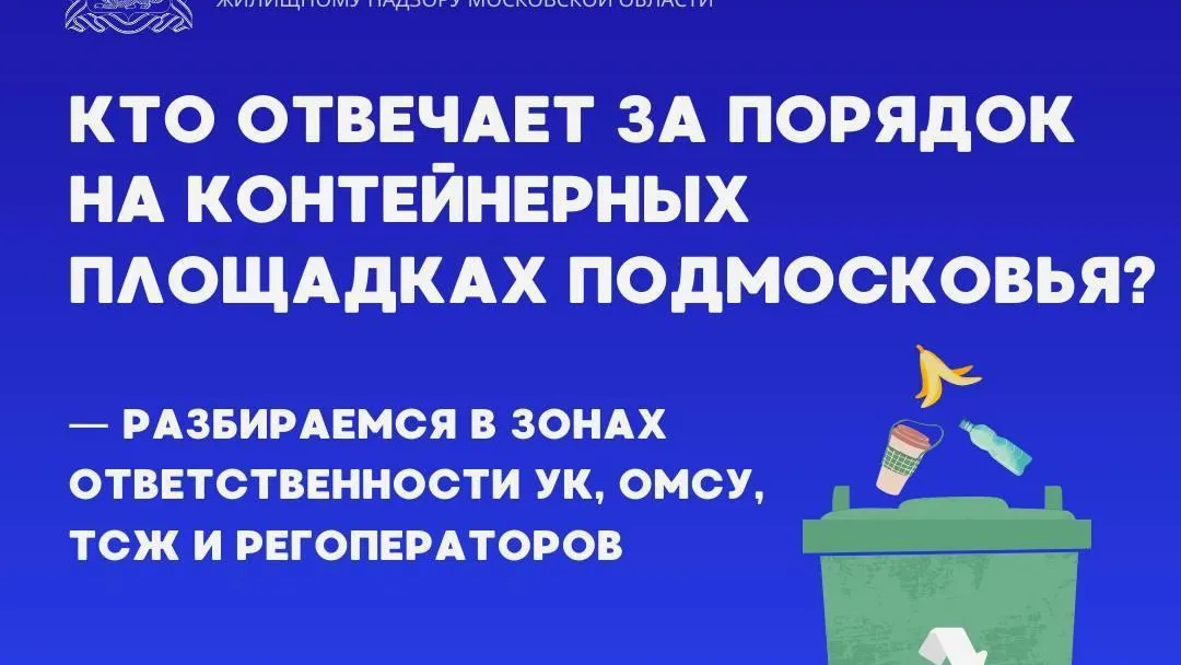 Жителям Подмосковья рассказали, кто отвечает за порядок на контейнерных площадках