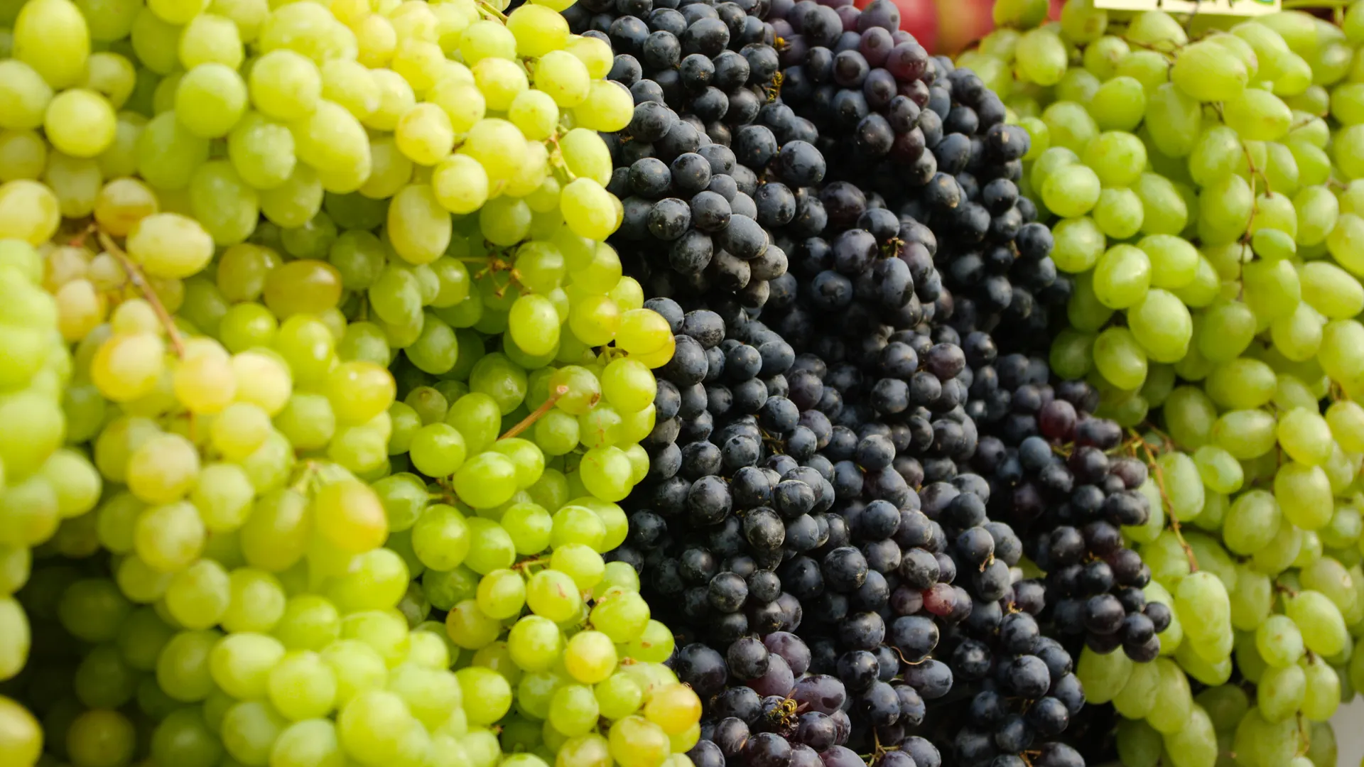 Россиян предостерегли от сочетания винограда с другими продуктами