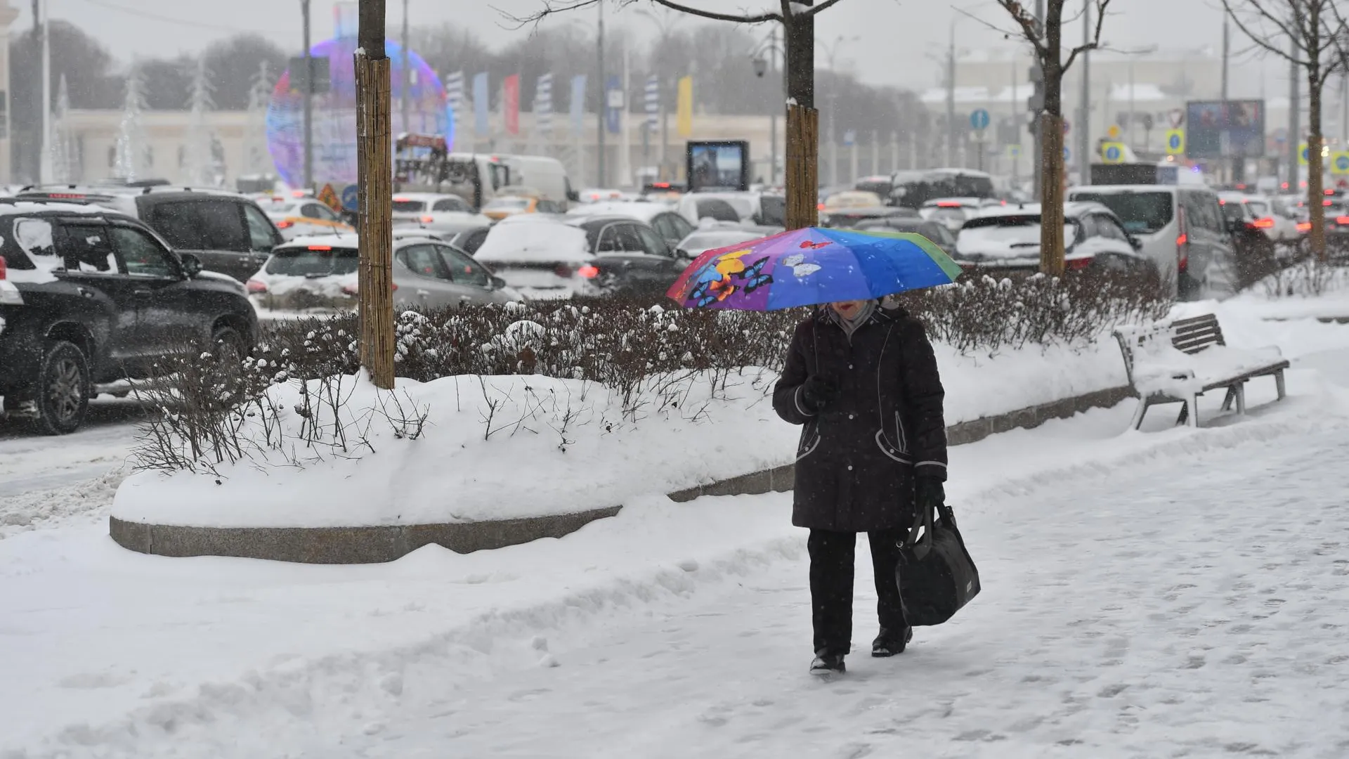 Москвичей предупредили о сильных снегопадах на следующей неделе