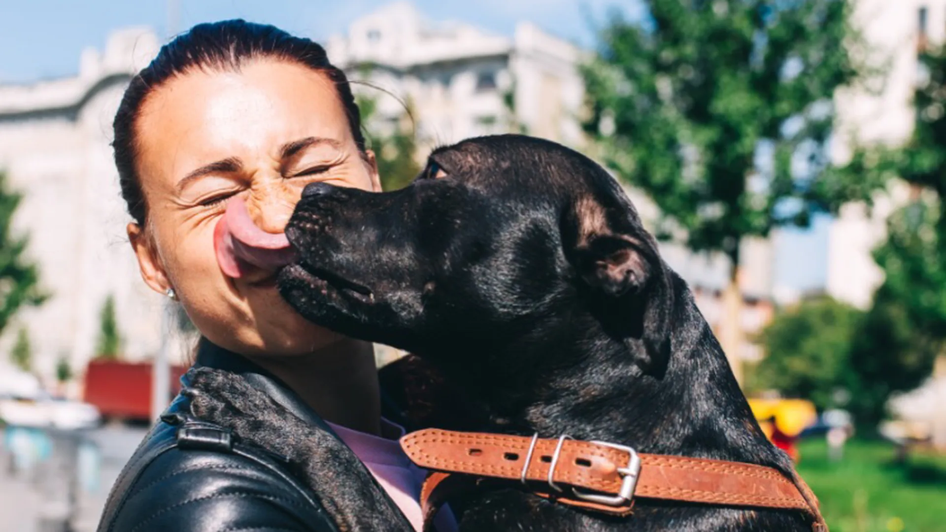 Зоопсихолог Анна Климова: «Иногда хочется надеть ошейник на хозяина ...