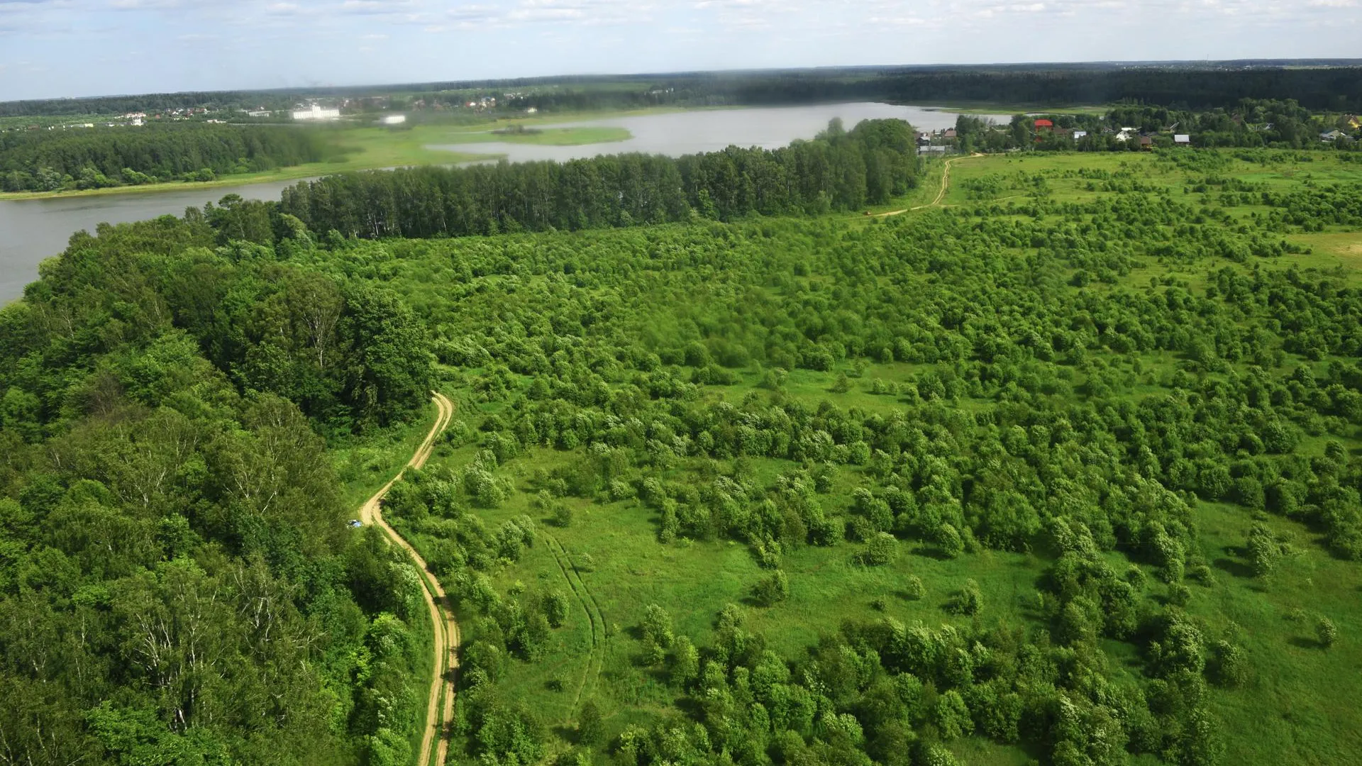 Более 30 тыс га леса могут высадить в Подмосковье до 2018 г