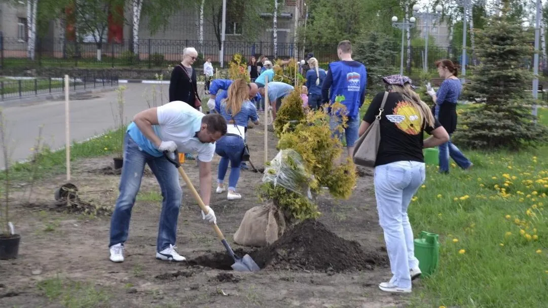 Более 500 деревьев и кустарников высадили в Электрогорске на акции «Лес Победы»