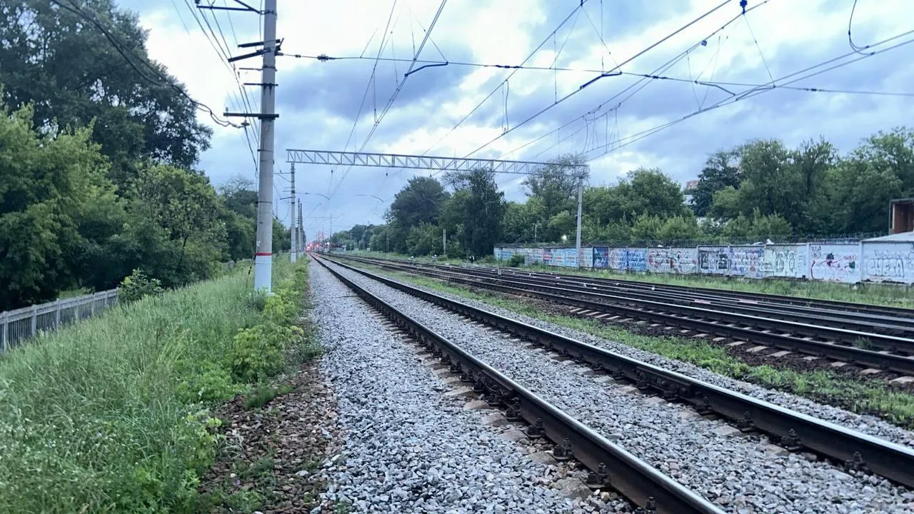 В Подмосковье девушка пыталась обойти лужу и погибла под колесами поезда |  РИАМО