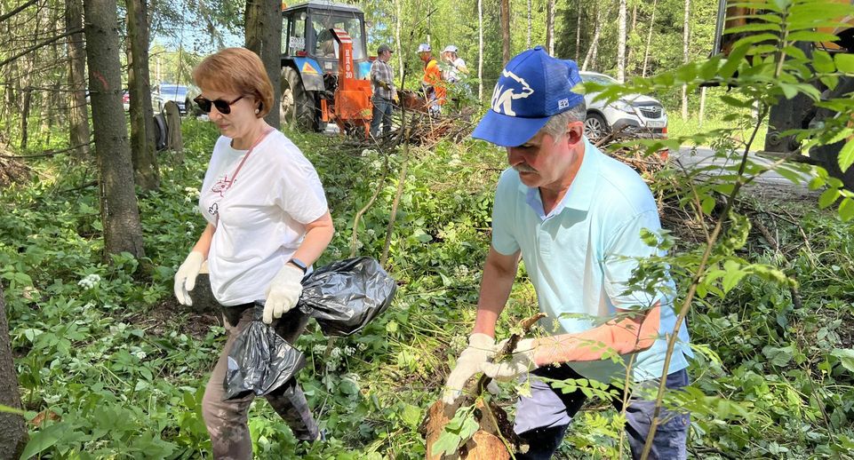 Волоколамск, Раменское и Черноголовка присоединились к экологической акции «Чистый Лес»