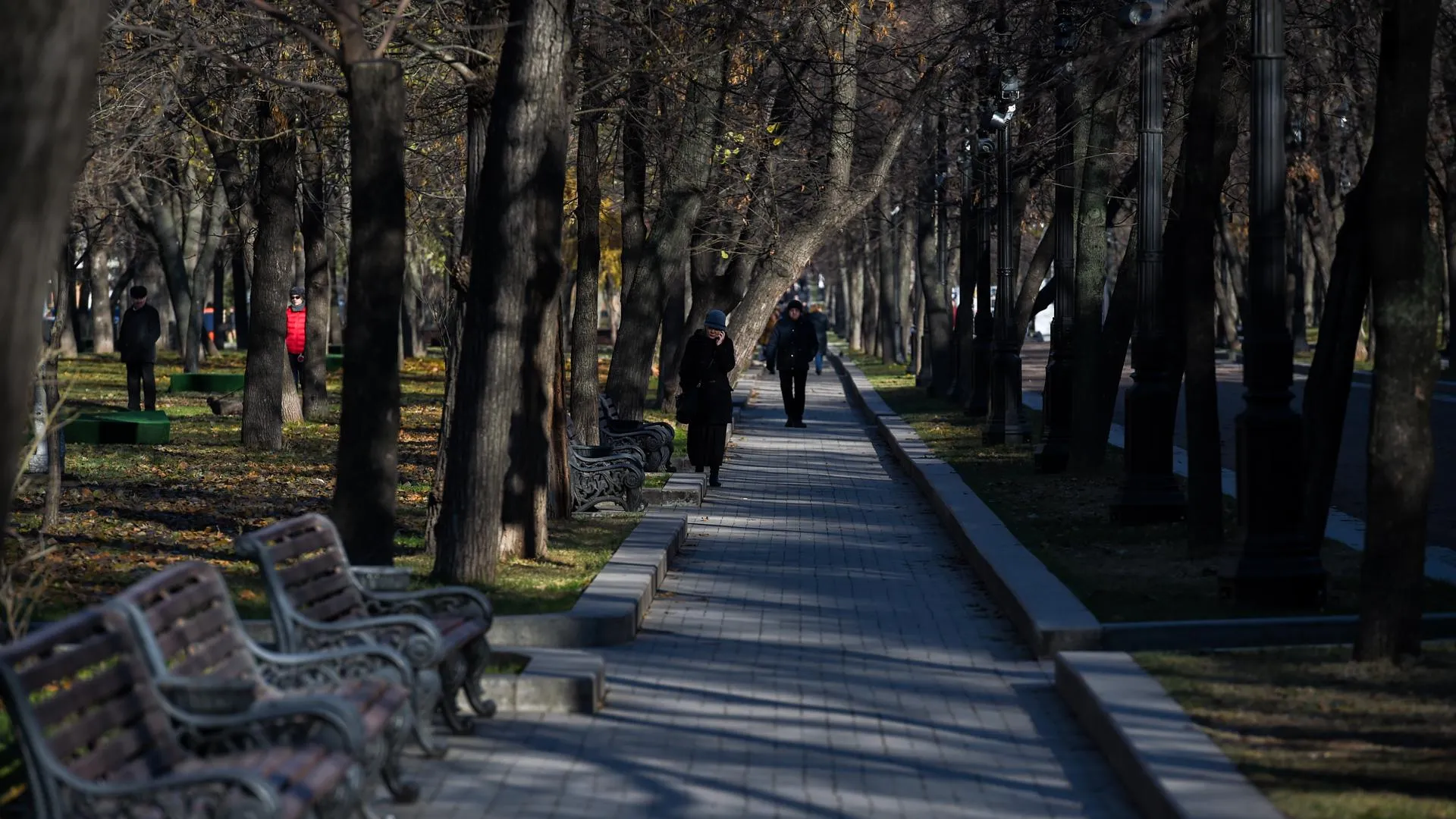 Прохладная погода без дождей ожидается в Московском регионе в среду