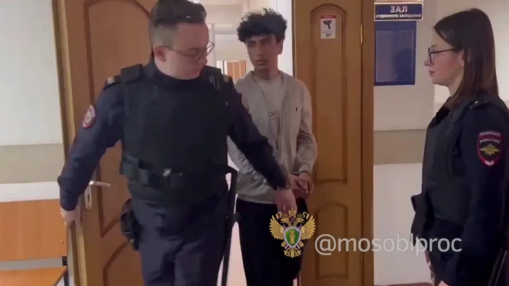 В Подольске иностранец публично скорбил и применил насилие к сотруднику ДПС