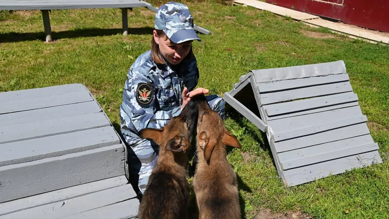 Выпуск служебных собак прошел в племенном питомнике при ИК‑6 УФСИН в  Подмосковье | РИАМО