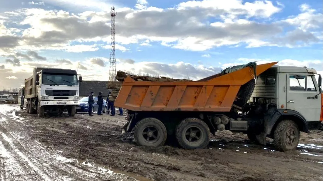 В Подмосковье началась «фотоохота» на организаторов незаконных свалок в лесах