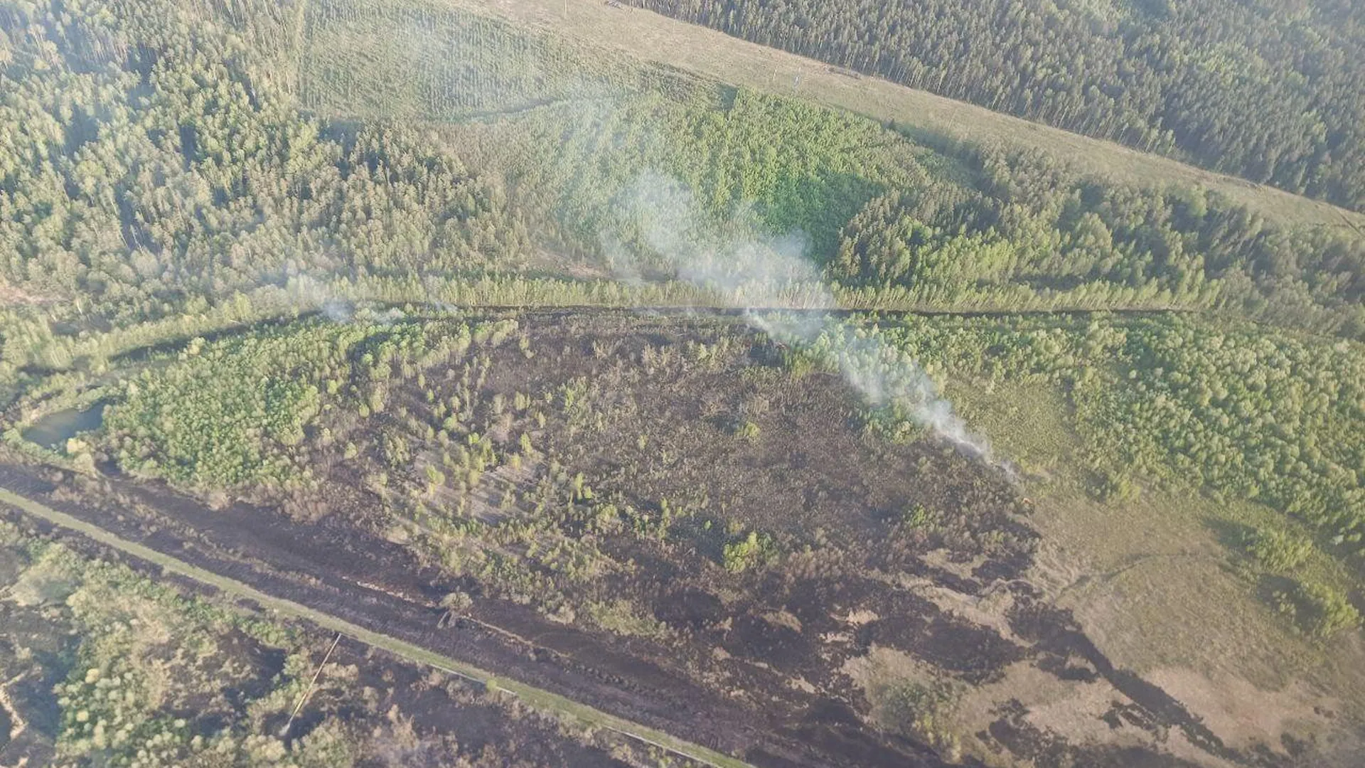 Воздушный патруль контролирует пожарную обстановку в лесах Подмосковья