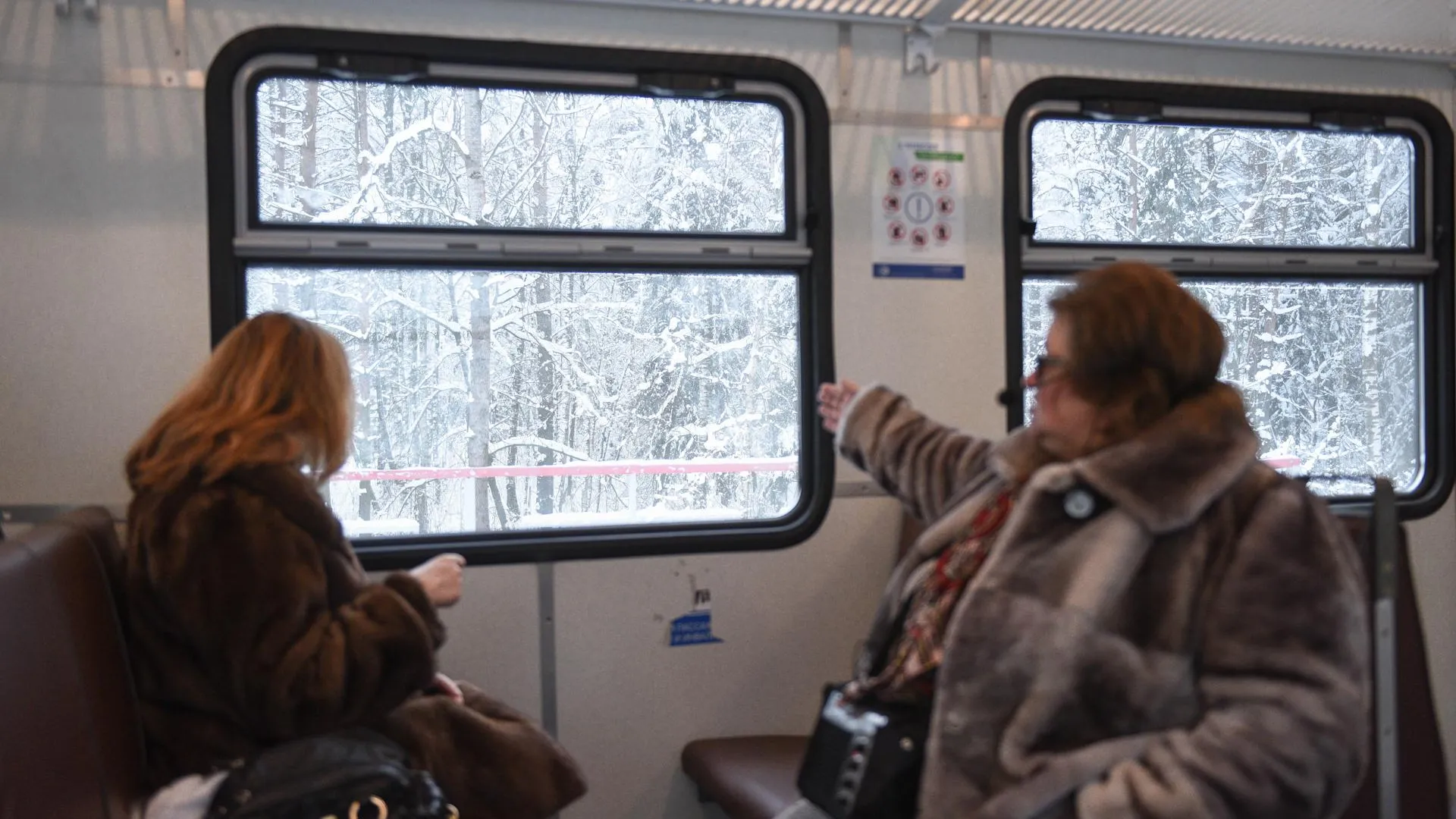 Первый отпуск за пять лет и тишина в электричках: чего ждут жители  Подмосковья в 2020 году | РИАМО | РИАМО