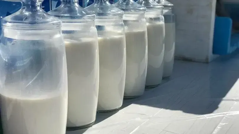 Объем производства молока в Подмосковье увеличился более чем на 50%