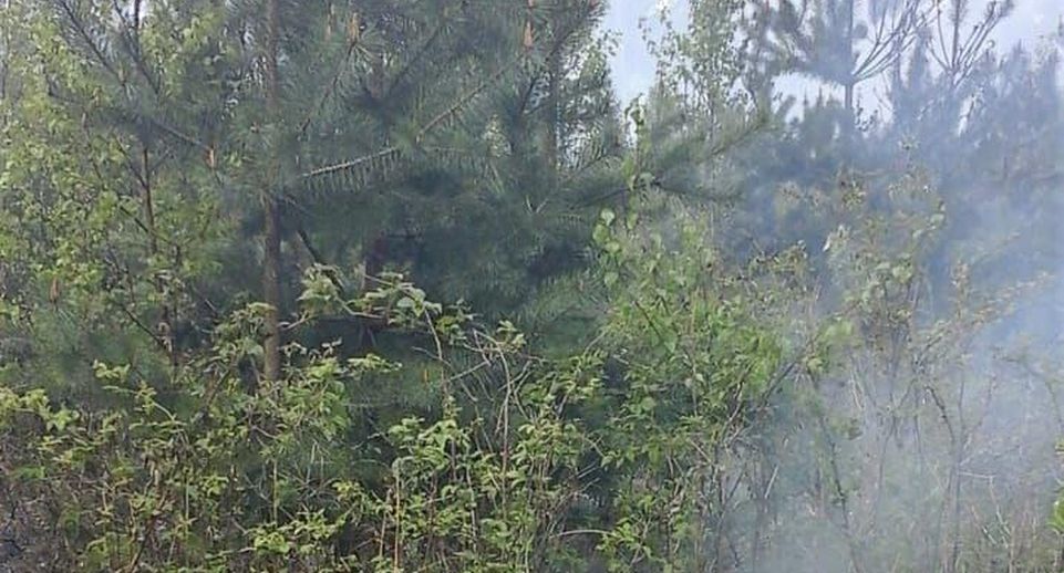 Три лесных пожара в один день ликвидировали в Балашихе