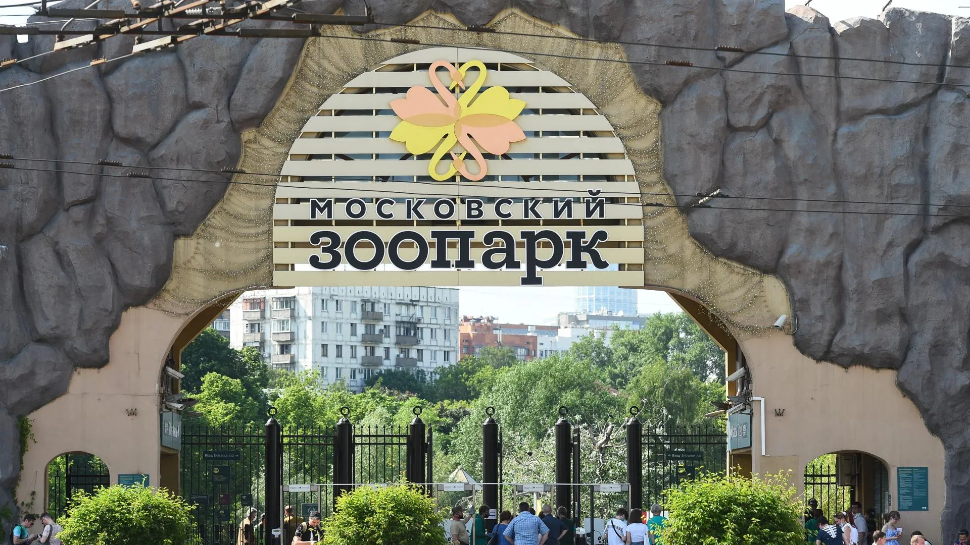 Зоопарк Москва Купить Онлайн