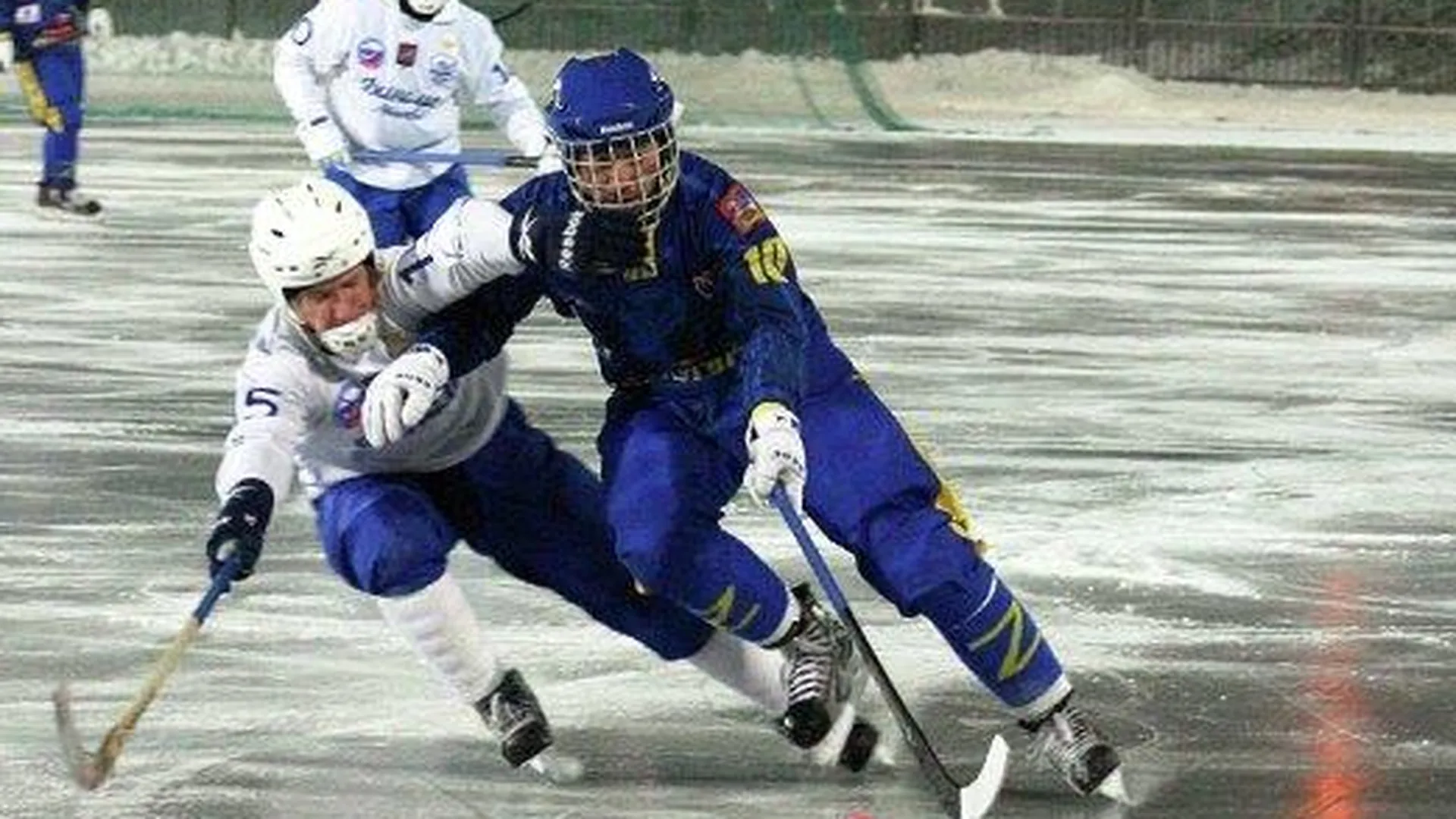 Проект развития хоккейного центра в Чехове вынесут на обсуждение в Госдуму