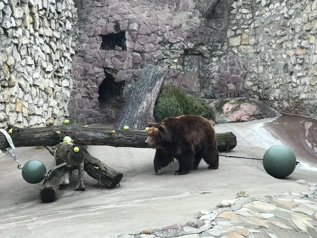 Татьяна Солдатова