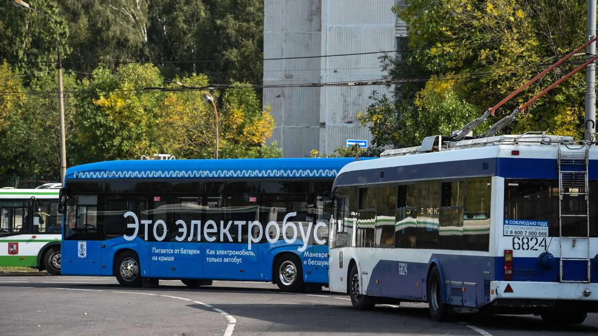 Страхование наземного общественного транспорта Москвы выставят на аукцион |  РИАМО