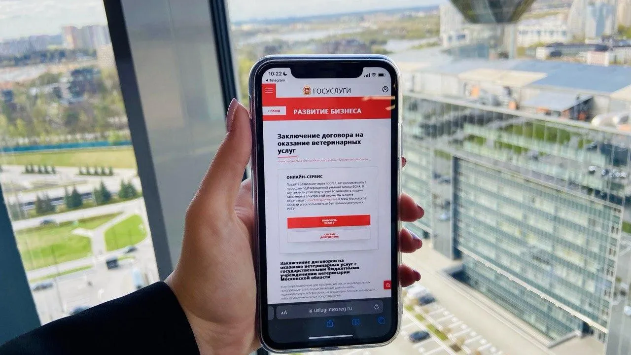 В Подмосковье заключить договор на оказание ветеринарных услуг можно за 2 дня