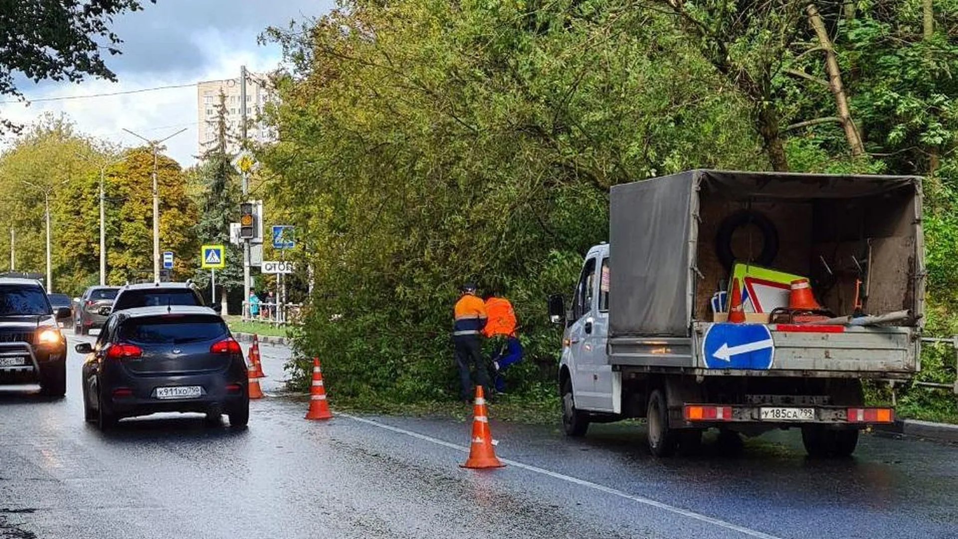 В Подольске убирают упавшие деревья и столбы освещения после сильного ветра  с дождем | РИАМО