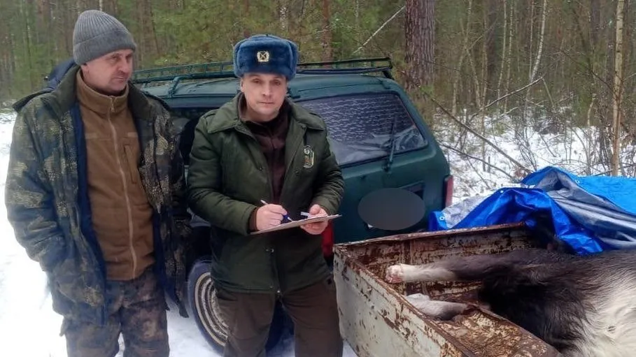 В лесах Подмосковья задержаны три браконьера с 14 по 16 января