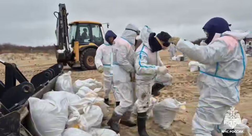 МЧС РФ собрали на Кубани уже 86 тыс тонн загрязненной почвы