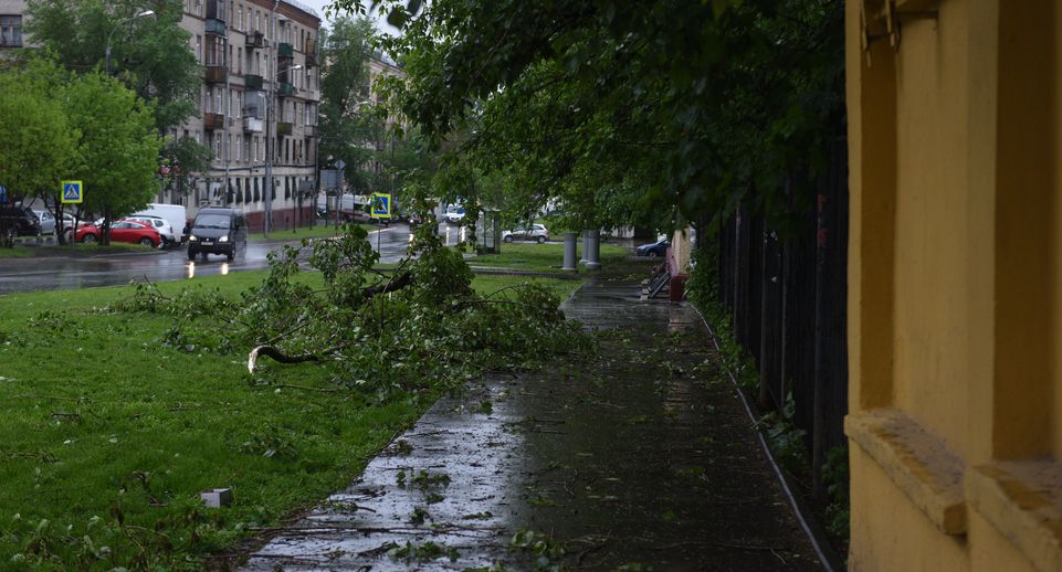В МЧС предупредили москвичей о надвигающемся ветре до 14 м/с