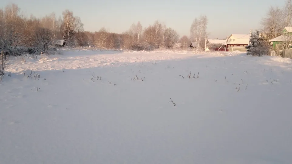 В Егорьевске на торги выставили самый бюджетный участок под стройку дома за 15 тыс руб