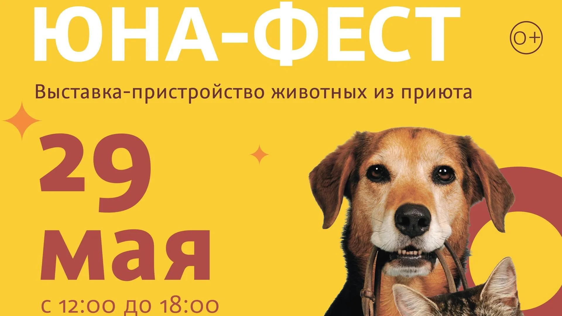 страница «Центр реабилитации животных «Юна»» во «ВКонтакте»
