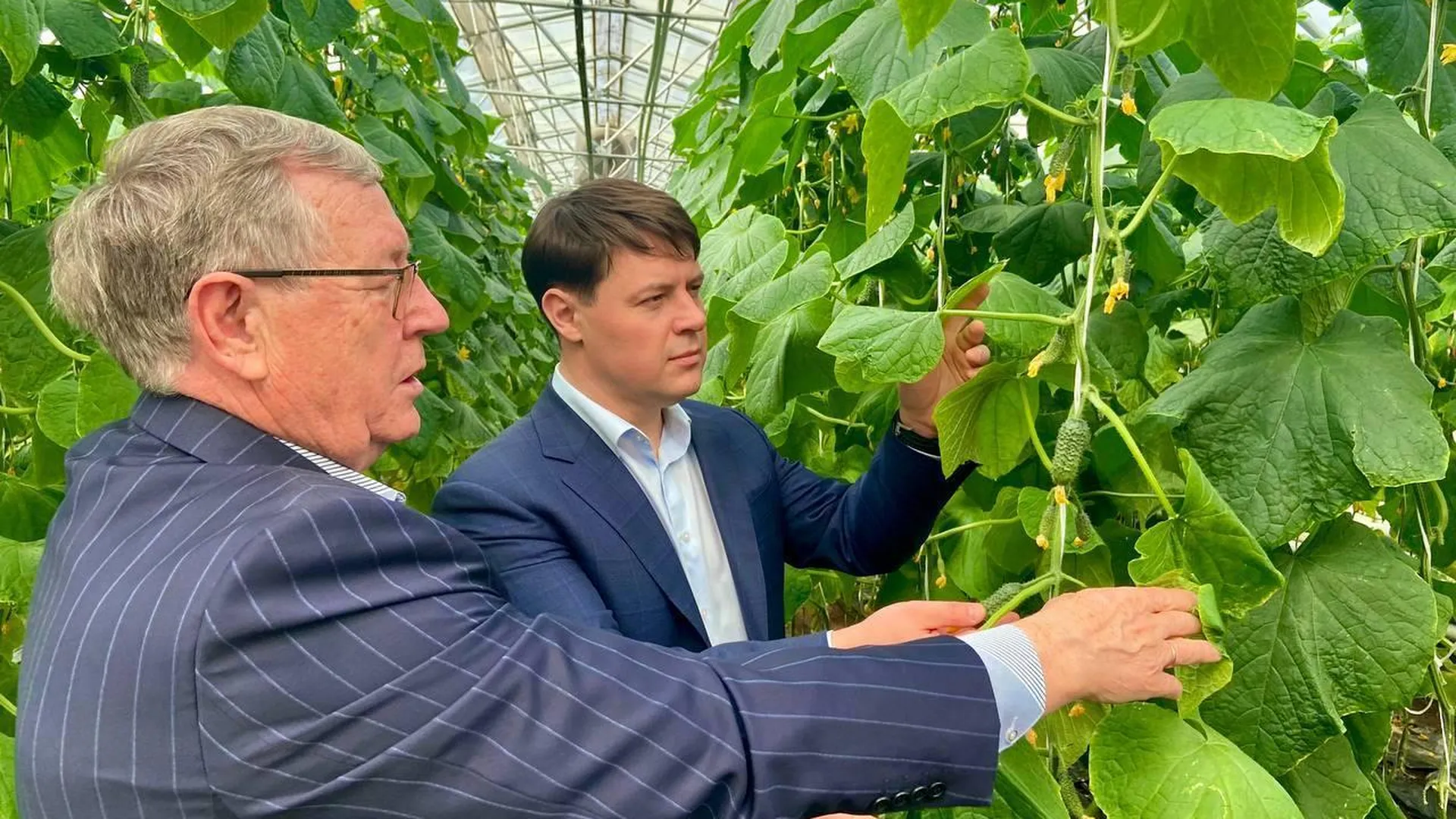 Мурашов: отечественное семеноводство — основа продовольственной безопасности страны