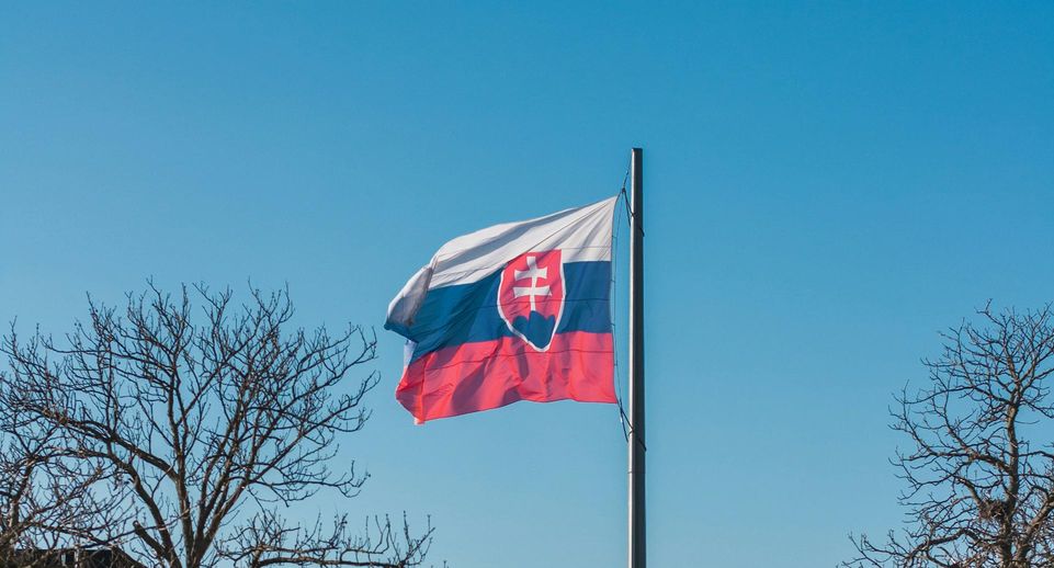 Глава МИД Словакии: страна стоит на пороге гражданской войны
