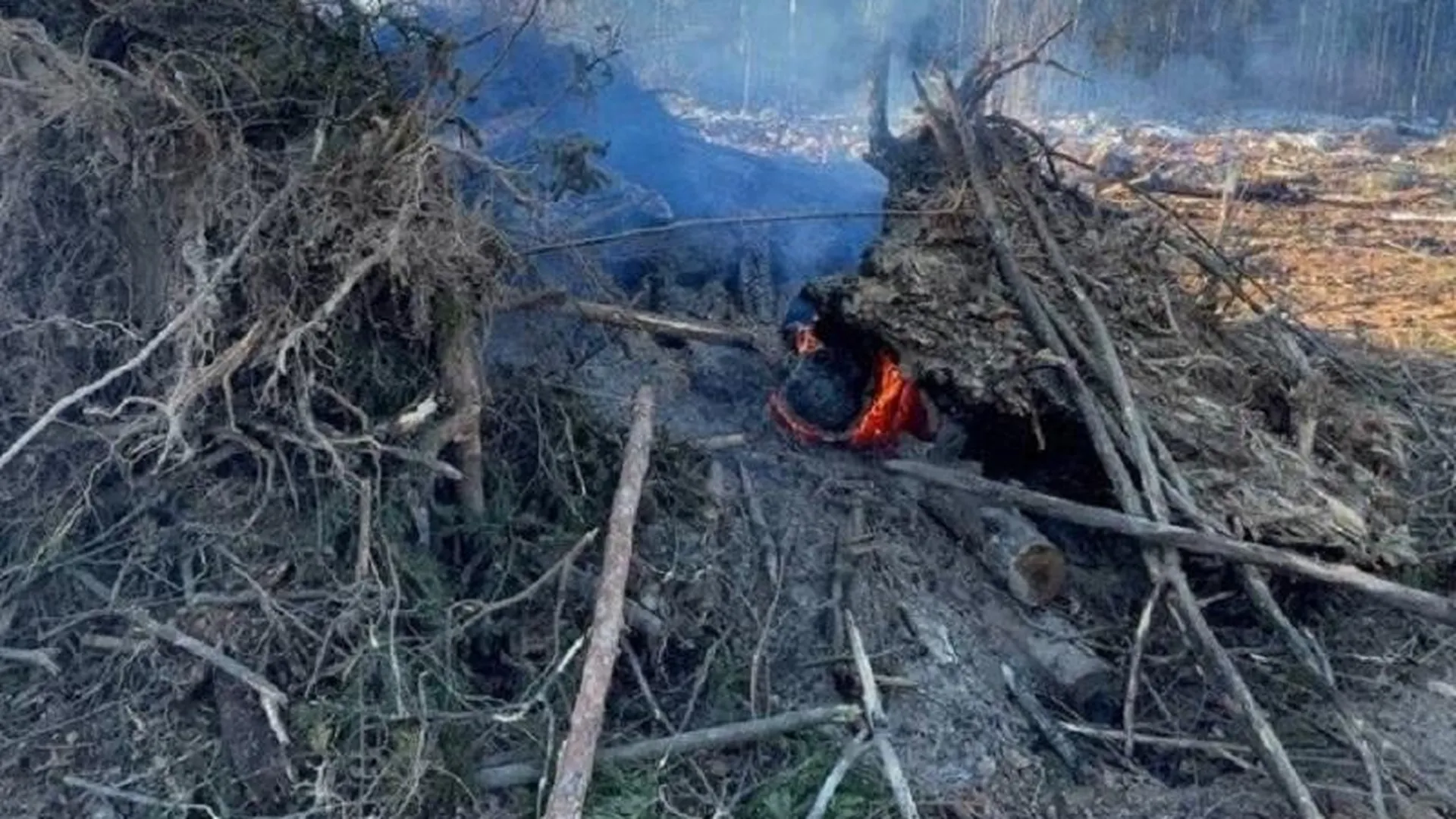 В Краснознаменске пресекли незаконное сжигание отходов после вмешательства Минэкологии