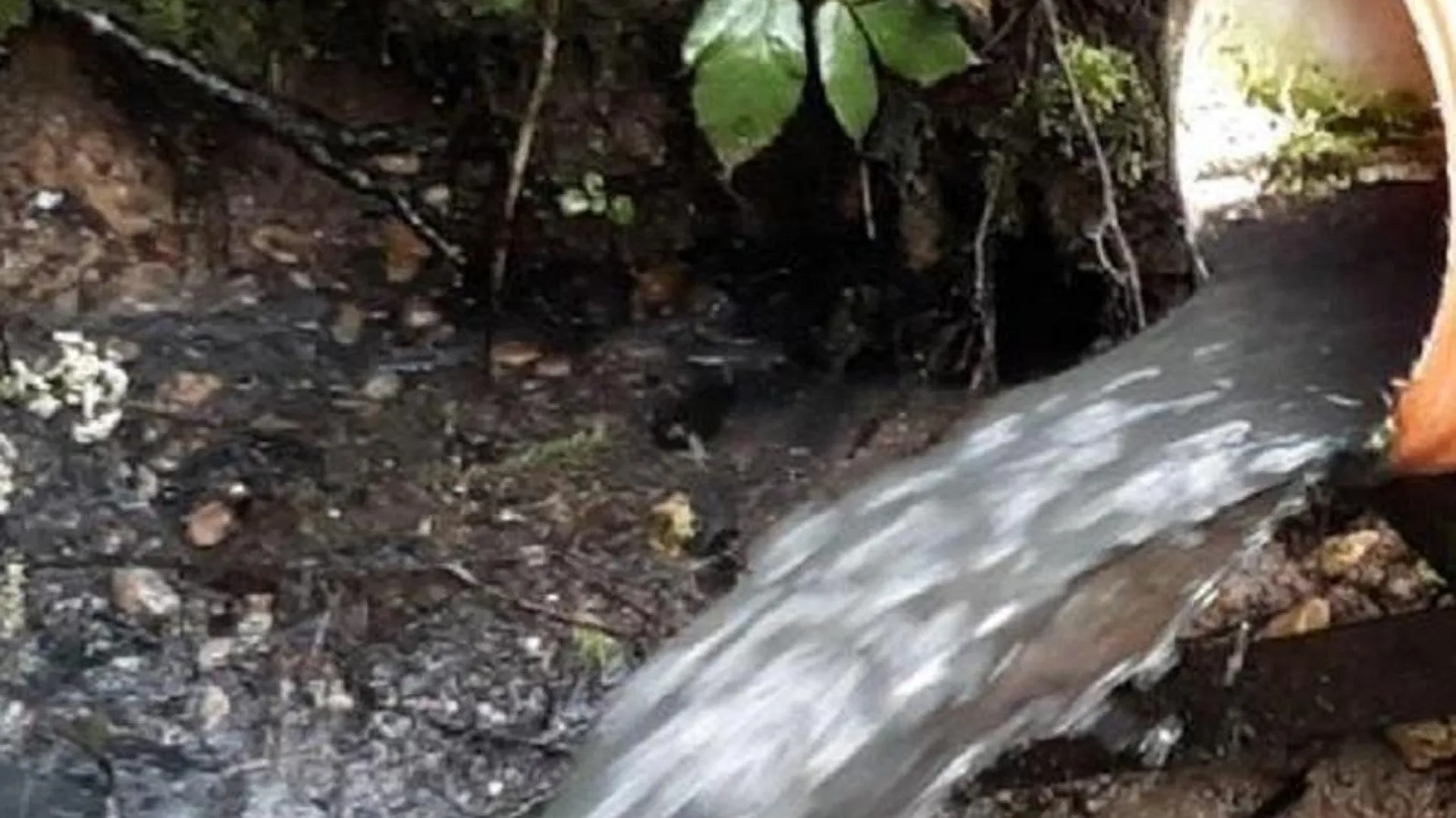 В Красногорске выявлен незаконный сброс сточных вод в реку Банька