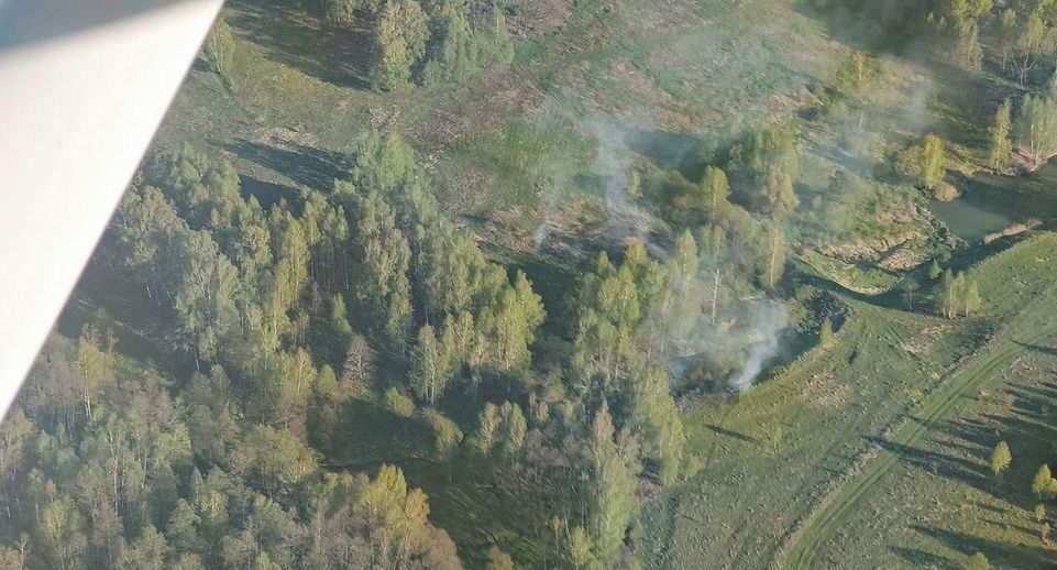 Лесной пожар ликвидировали в Балашихе