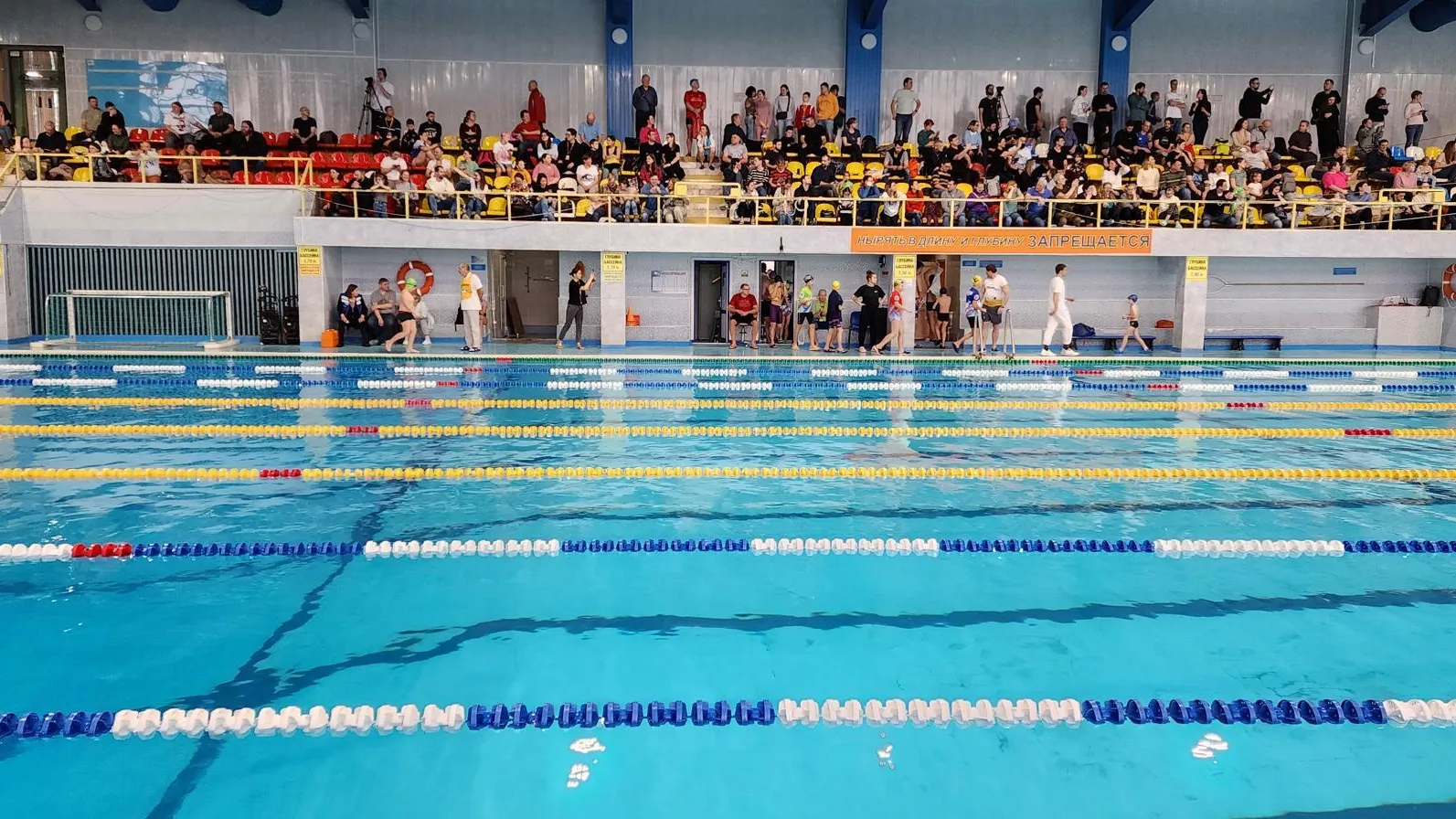 Пловцы из Раменского завоевали золотые медали в соревнованиях Swimcup