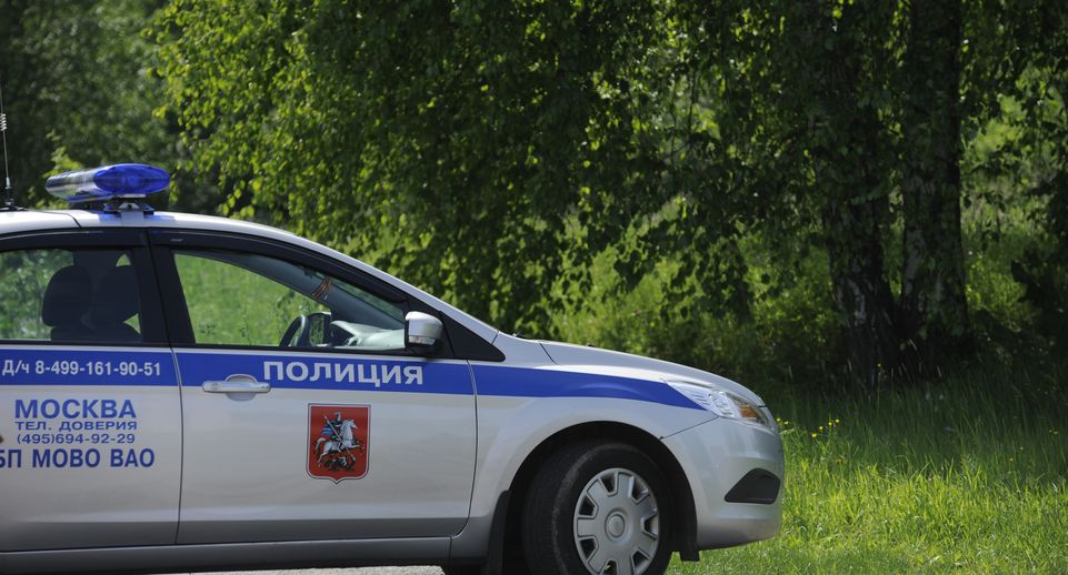 В Нижегородской области задержали мужчину после разбойного нападения на женщину