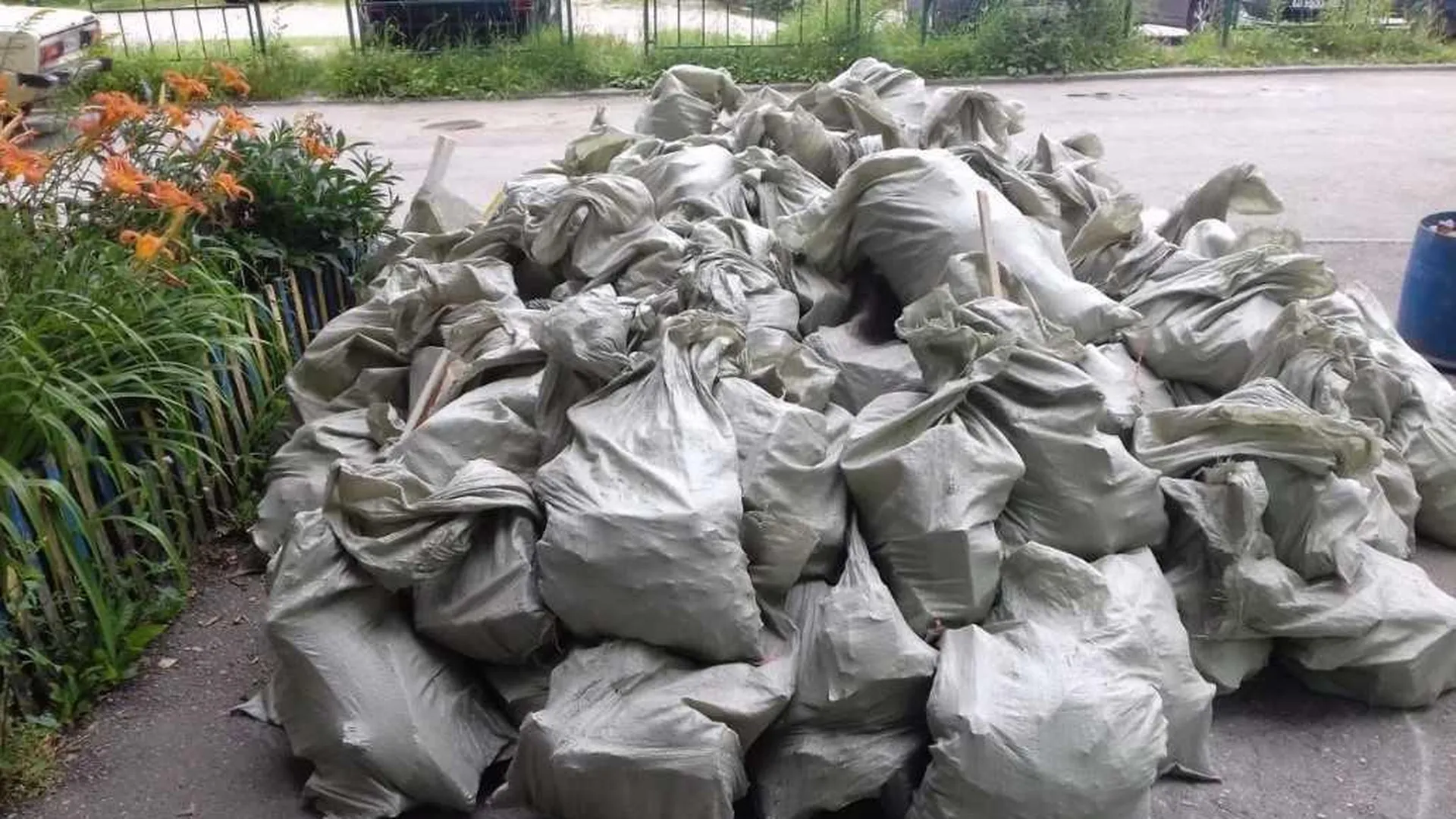 Вывоз Мусора В Спб Недорого